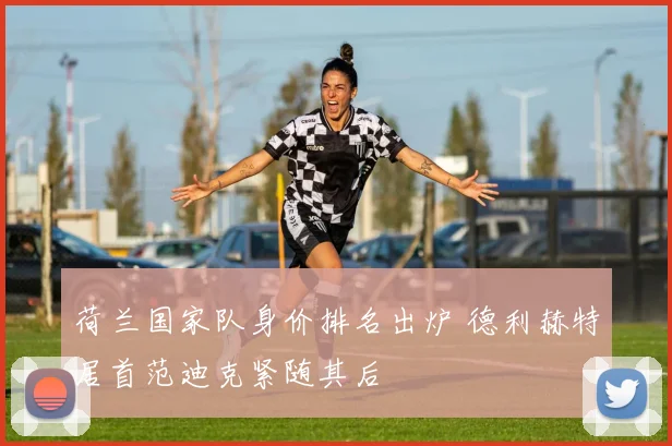 荷兰国家队身价排名出炉 德利赫特居首范迪克紧随其后