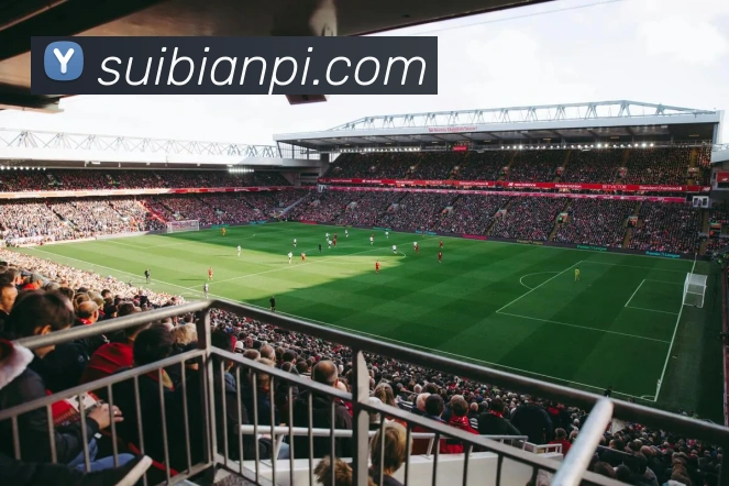 pg.cm国际平台生态图